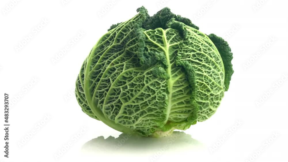 savoy cabbage isolated on white background savoy cabbage isolated on white background
