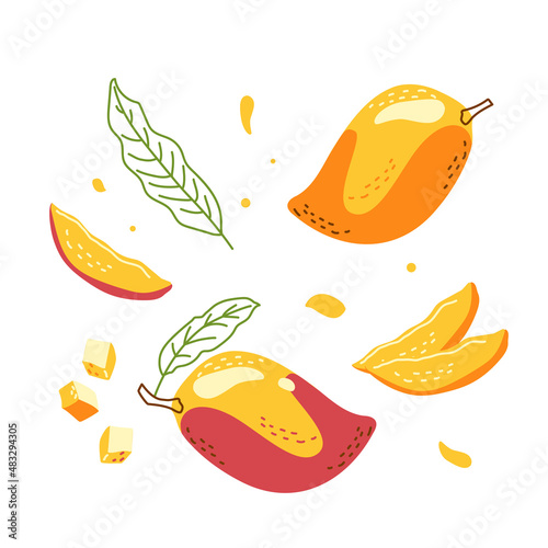 A collection of vector juicy mangoes, whole and cut into pieces. Isolates on a white background for decor, print and postcards