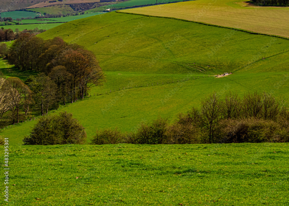 Obraz premium Feeding Station