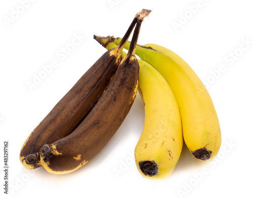 normale und überreife Banane isoliert auf weißen Hintergrund photo