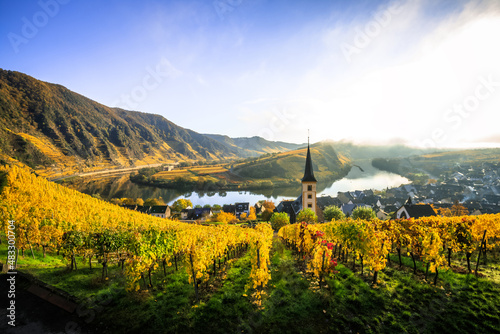 The Moselle Loop in Rhineland-Palatinate, Germany. Beautiful landscape shot at sunrise with fog in the morning over the town of Brem in the wine field of a steep slope photo