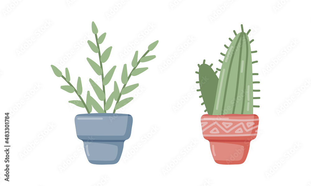 Home Plant in Pot as House Interior Decorative Object Vector Set