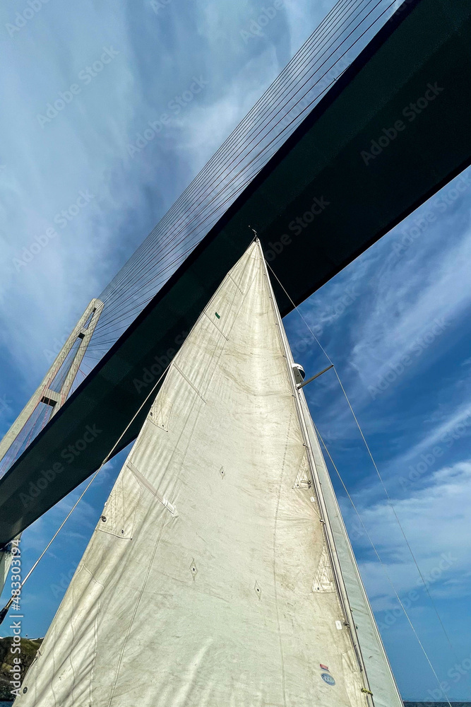 Obraz premium View of the high cablestayed bridge from below