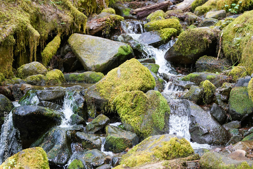 Gros plan sur un ruisseau dans les rochers