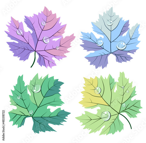 Pastel colors green, blue, purple grape leaves vector collection set. Good for wine bar restaurant menu, card decoration, stickers, wine bottle labels or winery logo design.