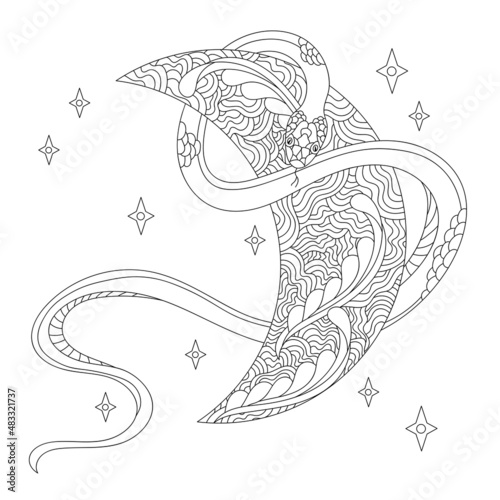 Hand drawn Snake and Moon, coloring page for adult . Vector monochrome