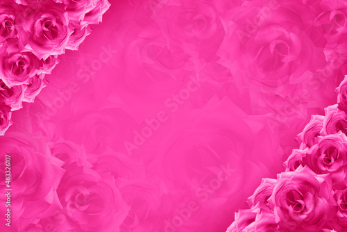 beautiful pink roses flower on top left and bottom right corners on blur pink roses flower background  template  banner  name card  copy space