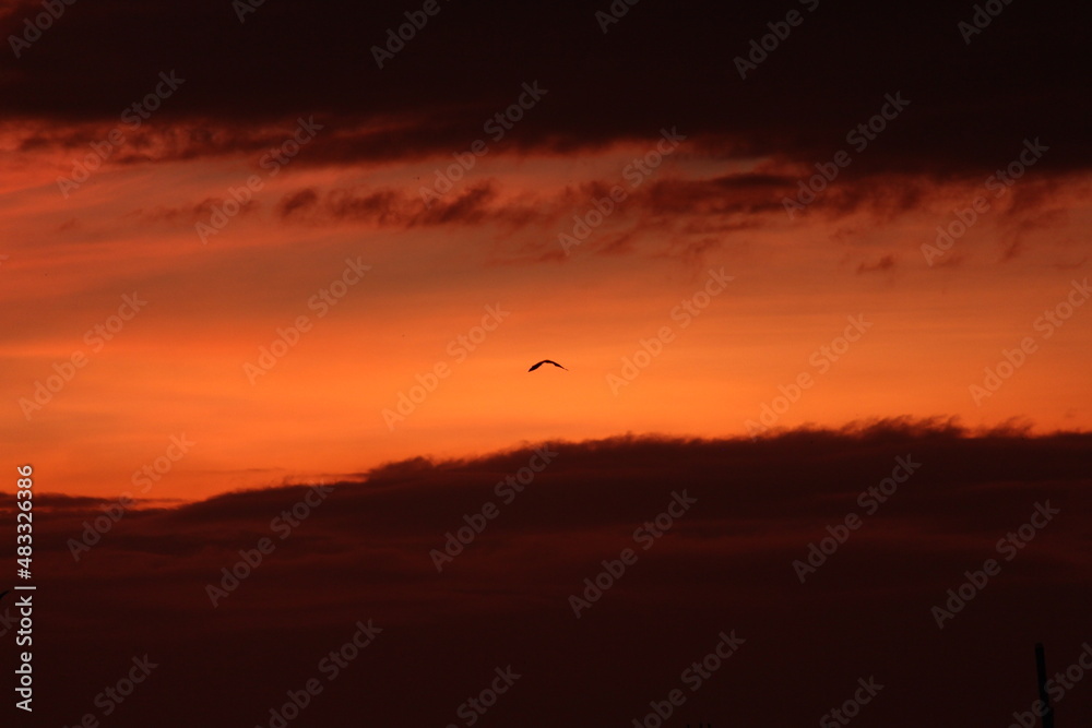 sunset in the sky sunset in the sky