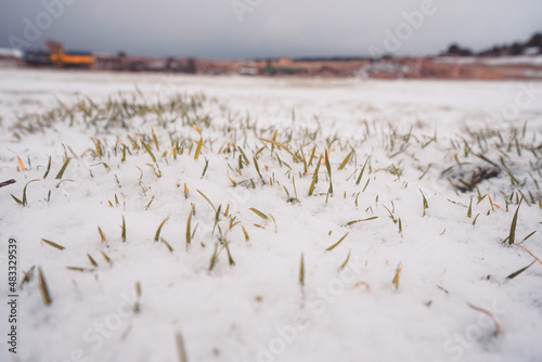 Snow covering the grass in a deserted rural zone in spain