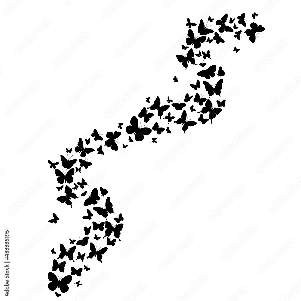 flying butterflies silhouette, on a white background
