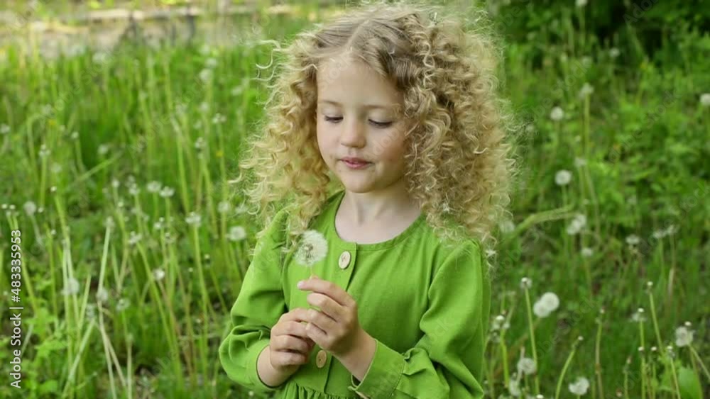 a little girl blows on dandelions in spring in a green dress a little girl blows on dandelions in spring in a green dress