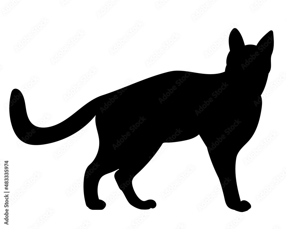 cat silhouette, on white background, vector, isolated