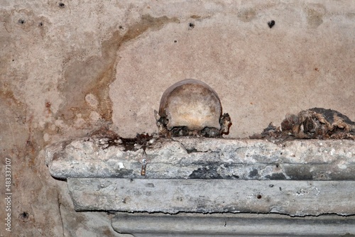 Napoli - Teschio con le Orecchie nella cripta di Santa Luciella photo