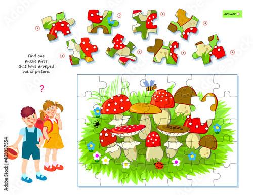 Logic game for children and adults. Find one puzzle piece that have dropped out of picture. Printable page for kids brain teaser book. Developing spatial thinking. Play online. Vector illustration.