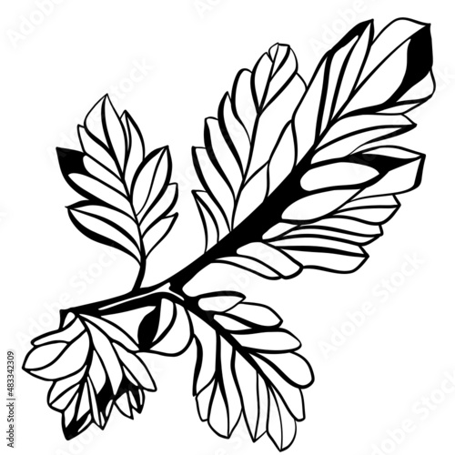 Monochrome multiple leaf stem in vintage woodcut printing style. Single layer SVG vector graphic suitable for use as digital cut file mask stencil