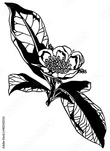 Black and white negative space rose flower with leaves in vintage woodcut printing style. Single layer SVG vector graphic suitable for use as digital cut file mask stencil