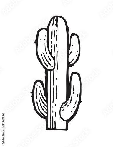 Large prickly cactus. An exotic southern plant from the desert. Outline sketch. Hand drawing is isolated on a white background. Vector