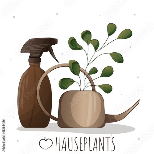 Caring for houseplants, watering can for houseplants, watering plants, houseplant, home garden, gardening, plant lover, houseplant store concept, greenhouse.