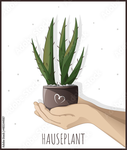 Woman and pot with houseplant. Caring for houseplants. Houseplant, home garden, gardening, plant lover, houseplant store concept, greenhouse.