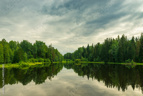 Fishing wooden bridge on the river among the trees