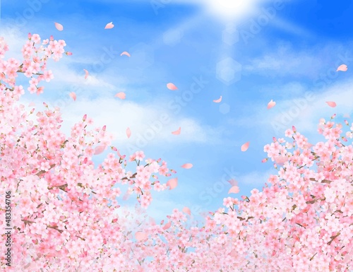 美しく華やかな桜の花と花びら舞い散る春の爽やか青空に光差し込む雲のフレーム背景ベクター素材イラスト © Merci