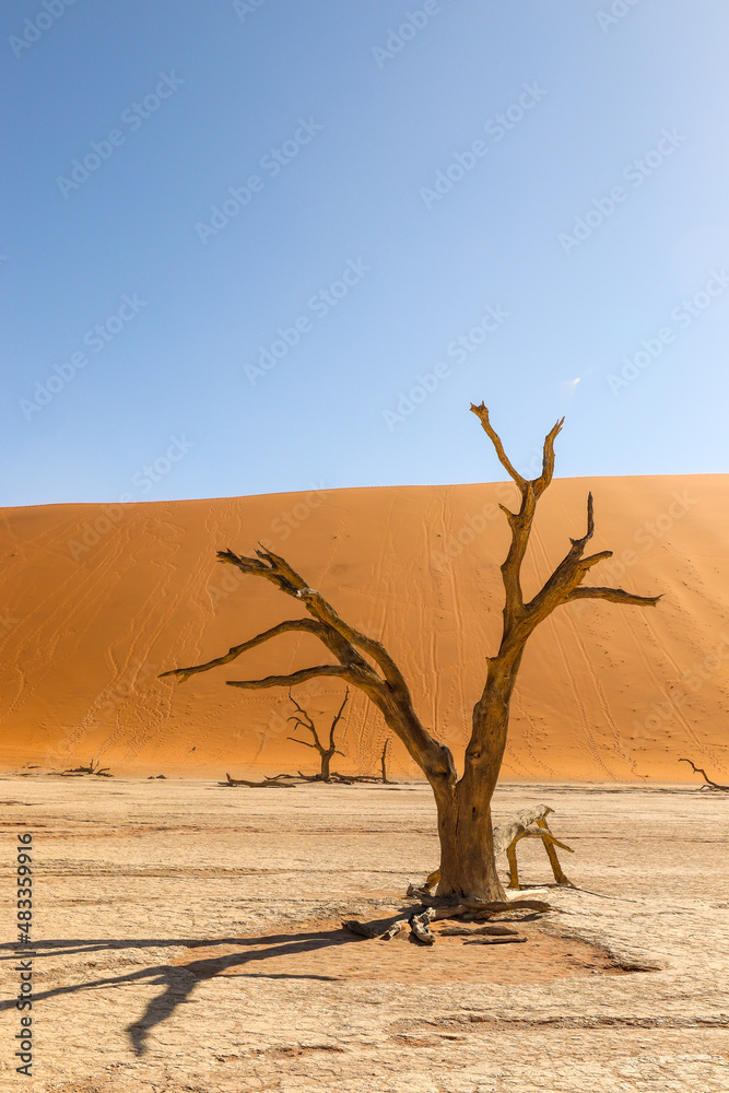 Deadvlei, Sossusvlei, Namibia Deadvlei, Sossusvlei, Namibia
