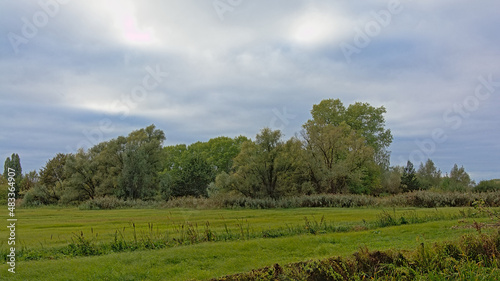 Autumnal marsh landscape in Bourgoyen nature reserve  Ghent  Belgium