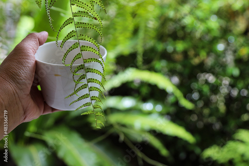 Obraz na plátně Close-up Of Hand Holding Coffee Cup And Plant Leaves In Fern Garden