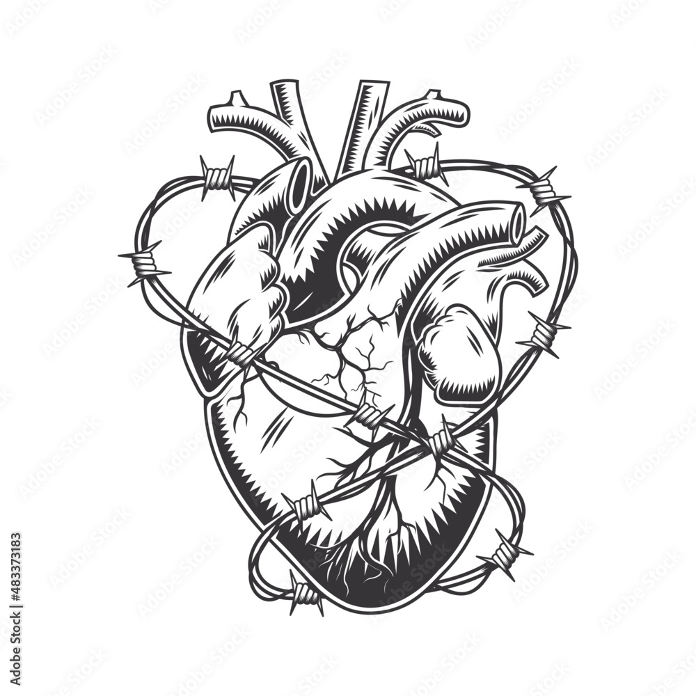 Barbed wire heart anatomically hand drawn line art. vintage Flash tattoo or  print design vector illustration. Stock Vector | Adobe Stock