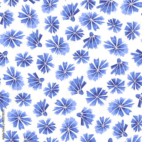 Floral seamless pattern with blue cornflower buds on white background. Hand drawn flowers. Simple vector print for girls and womens clothes, summer screen printing, cute cover, fabric, wallpaper