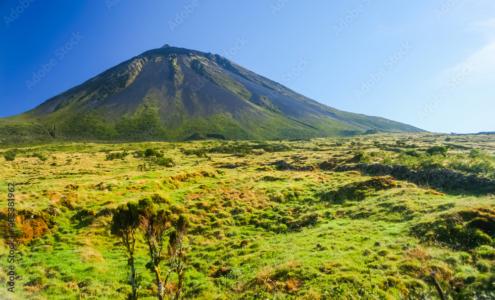Fototapeta premium Pico mountain in Pico island