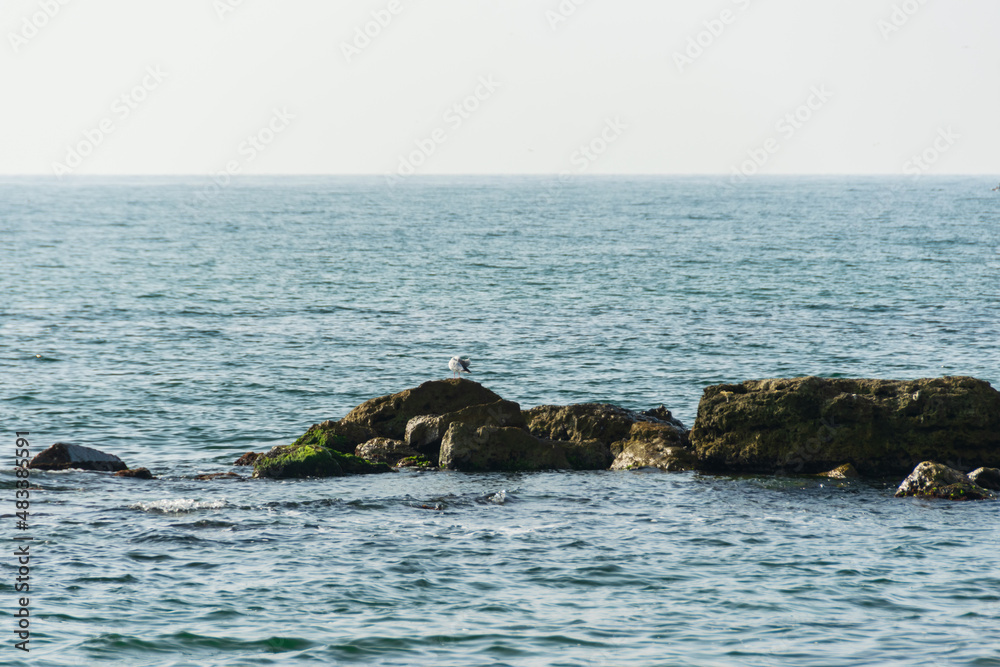 Obraz premium Rocks of the Black Sea in Bulgaria