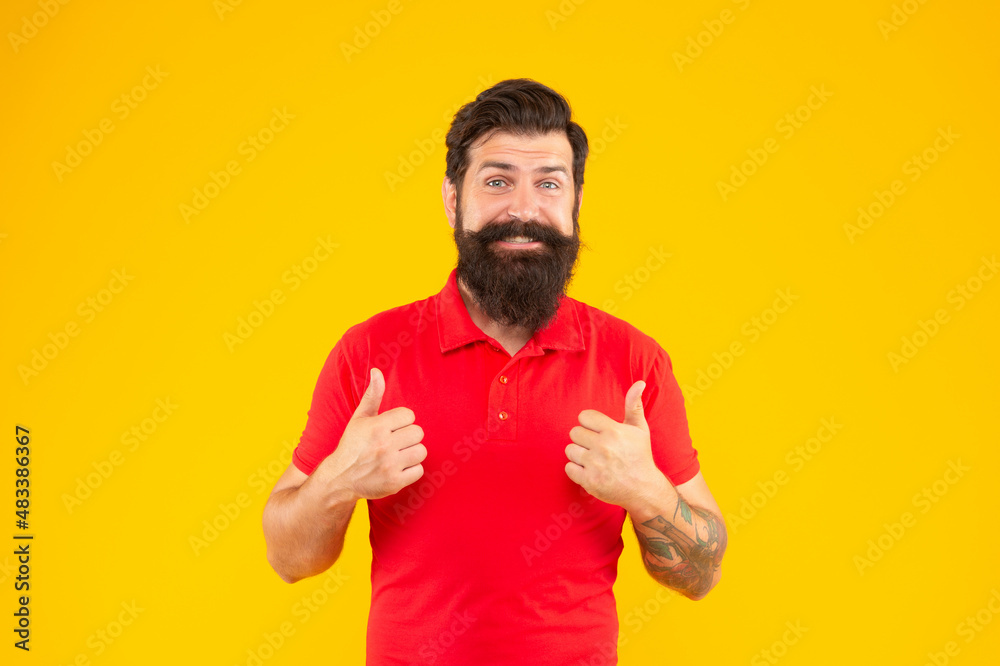 confident and handsome bearded man on yellow background. hair and beard care. confident and handsome bearded man on yellow background. hair and beard care.