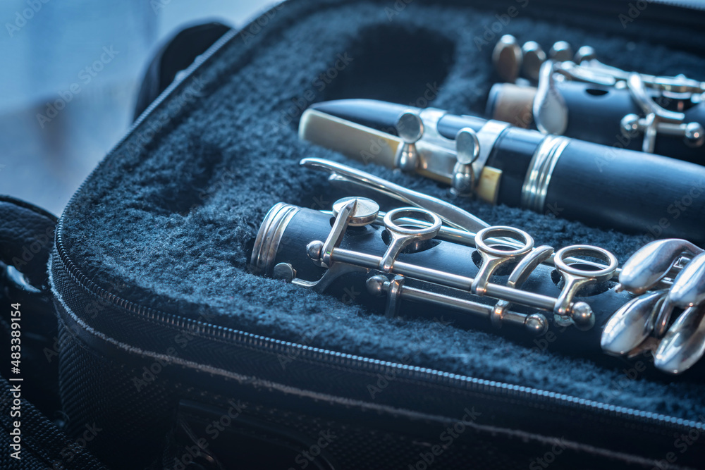 Naklejka premium clarinet inside musical instrument storage case closeup