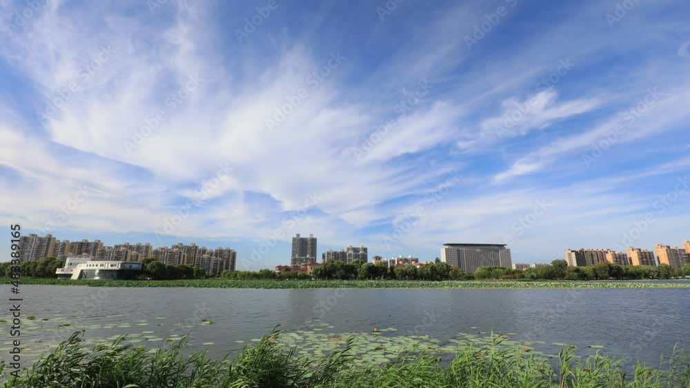 Beautiful waterfront city scenery under blue sky and white clouds, North China Beautiful waterfront city scenery under blue sky and white clouds, North China