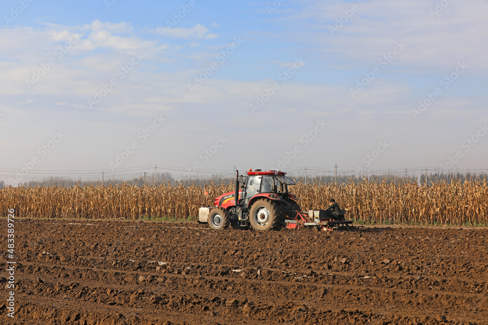 Obraz premium farmers sow winter wheat in fields, North China