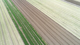 Aerial photography of farmland scenery in autumn, North China,