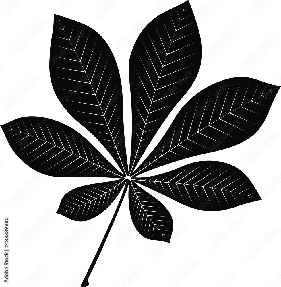 Сhestnut leaf silhouette