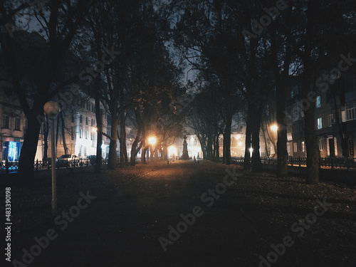 The autumn park. Lonely road in the autumn park; the monument of the writer is in front of us. 