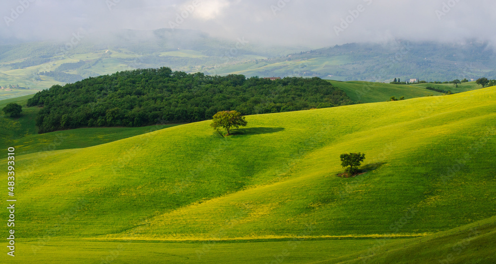 Obraz premium Tuscany in May. View of the green fields lit by the rays of the sun. Two lonely trees in hill.