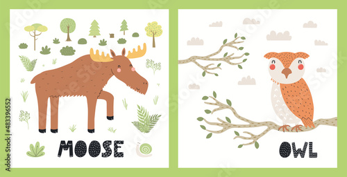 Cute funny wild animals, moose, owl, woodland landscape. Posters, cards collection. Hand drawn wildlife vector illustration. Scandinavian style flat design. Concept for kids fashion, textile print. © Maria Skrigan