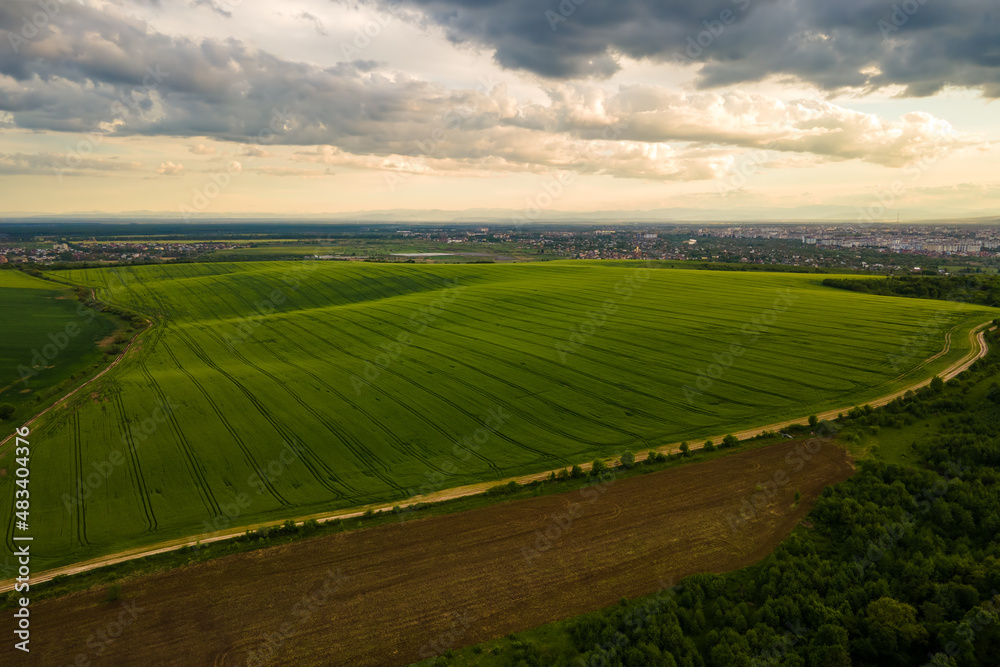 Aerial landscape view of green cultivated agricultural fields with growing crops on bright summer evening