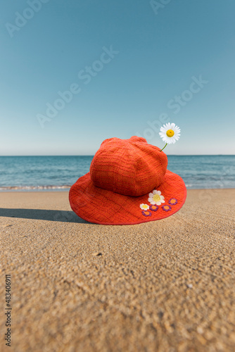 Roter Sonnenhut am Sandstand am blauen Meer