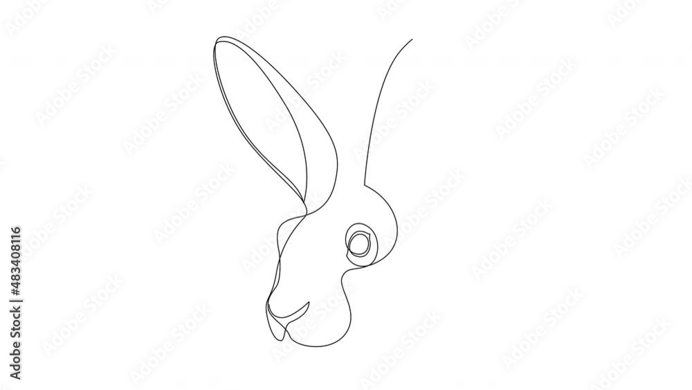 Animated self drawing of one continuous line drawing of adorable hare head for animal lover club logo. Cute bunny animal mascot concept icon. Full length single line animation of rabbit. Animated self drawing of one continuous line drawing of adorable hare head for animal lover club logo. Cute bunny animal mascot concept icon. Full length single line animation of rabbit.