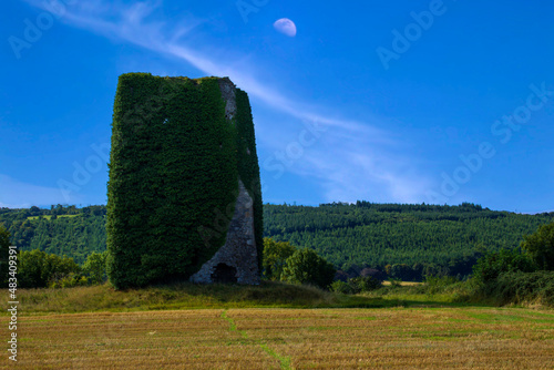 Ruined towerhouse ovegrown with ivy photo