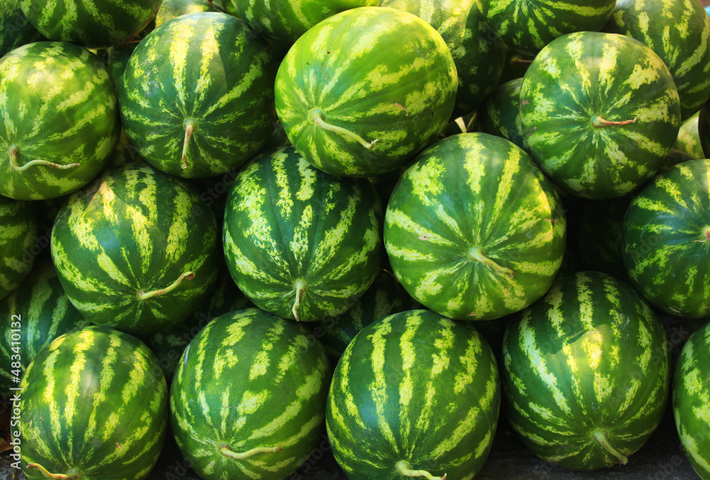 Watermelons Watermelons