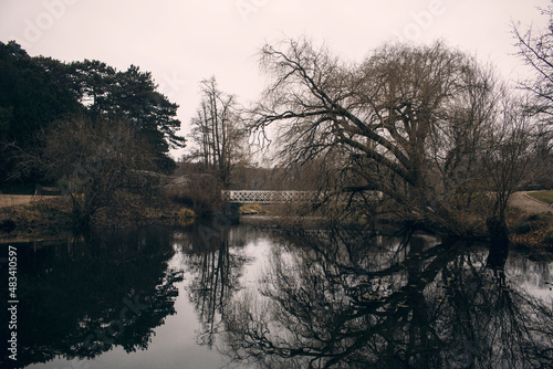 Photography Dark Park in Copenhagen