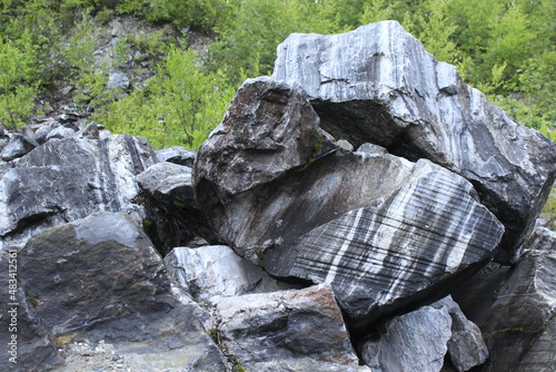 rocks in the forest