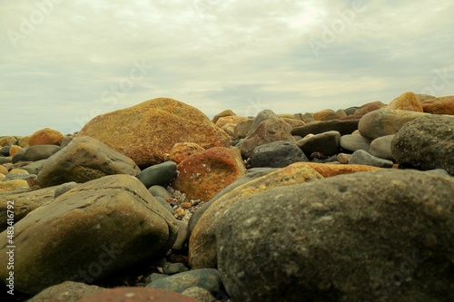 rocks on the beach