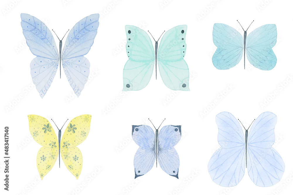 butterflies isolated on white butterflies isolated on white